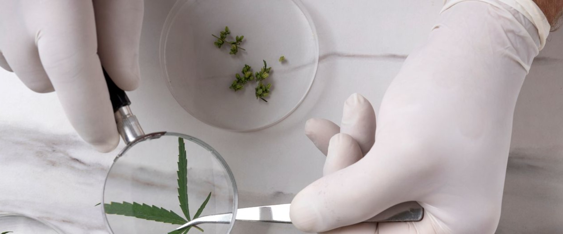 What Is Hhc (hexahydrocannabinol)?